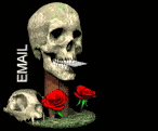 skull3-email.gif (18177 bytes)